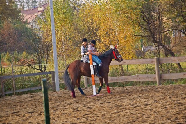 Hubertus 2009